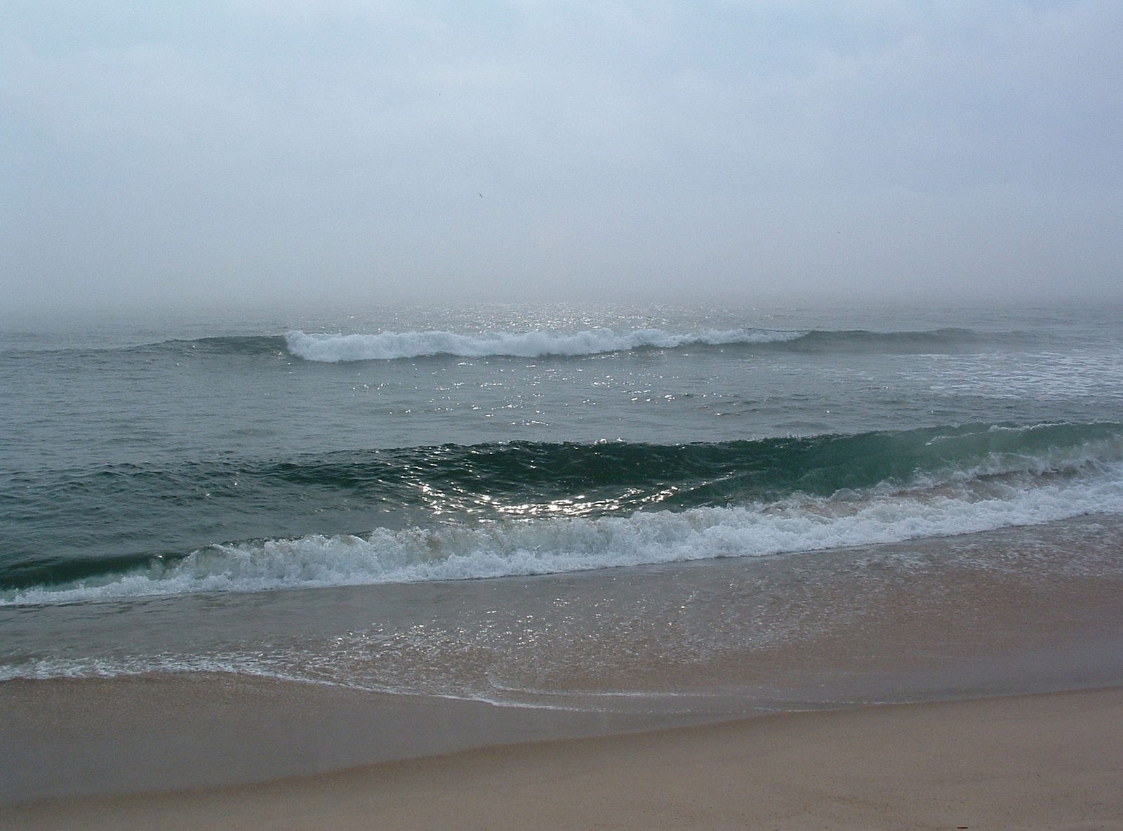 Waves breaking along the beach on a misty morning