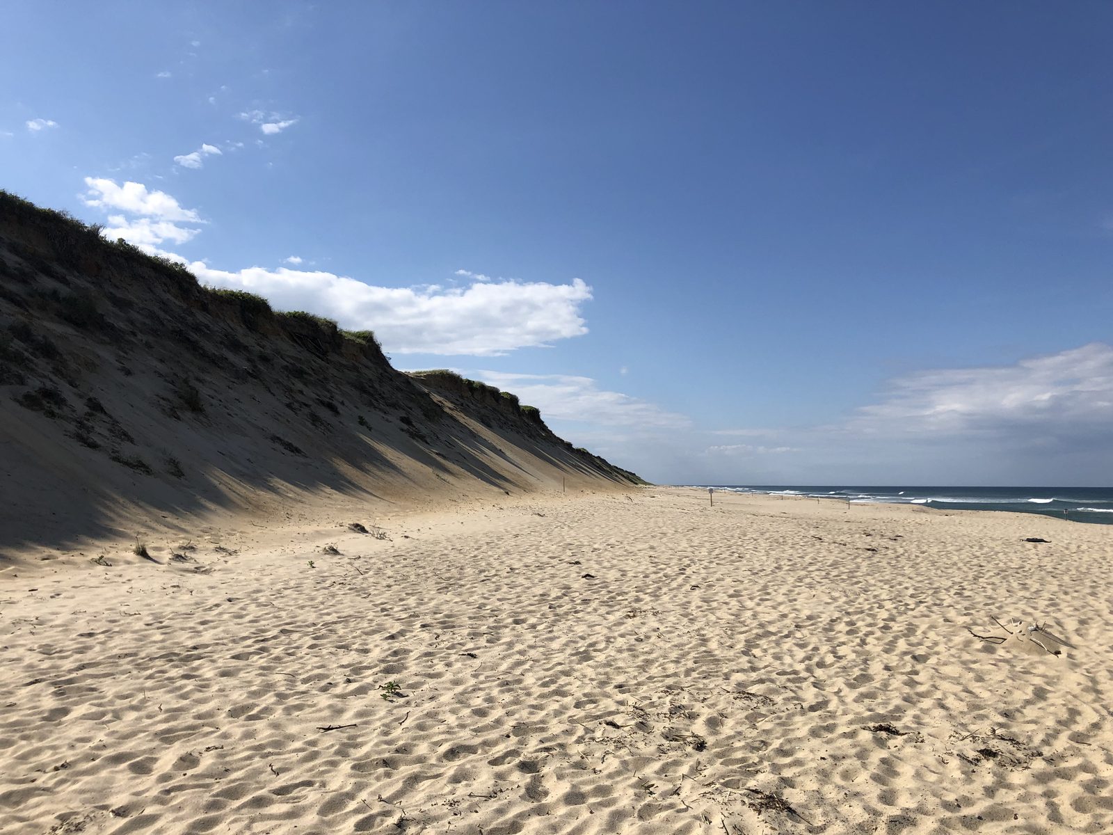 A wide sandy beach below a tall sand cliff, with surf rolling in
