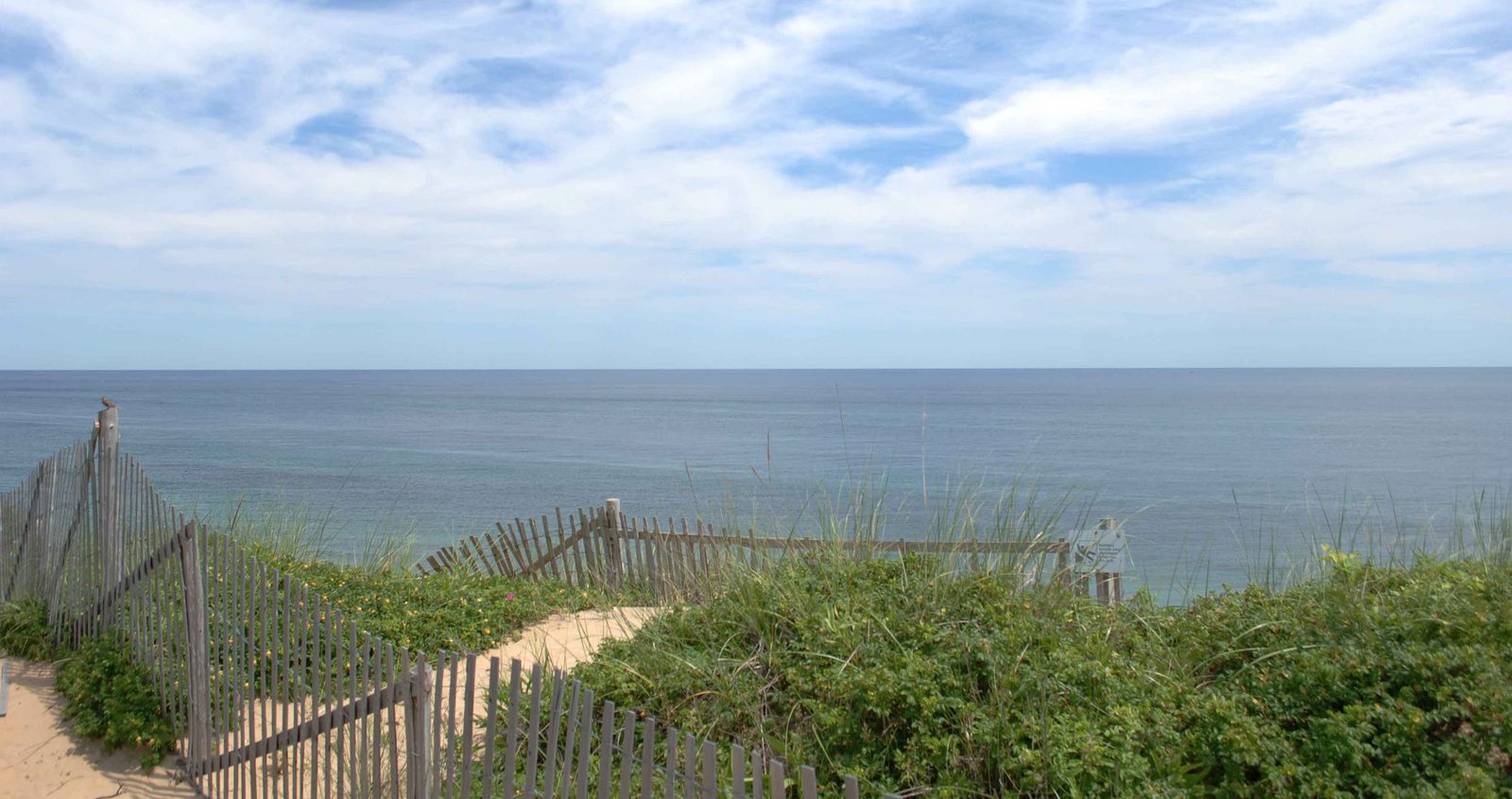 Blue ocean beyond a wooden fence and green shrubs on the dunes